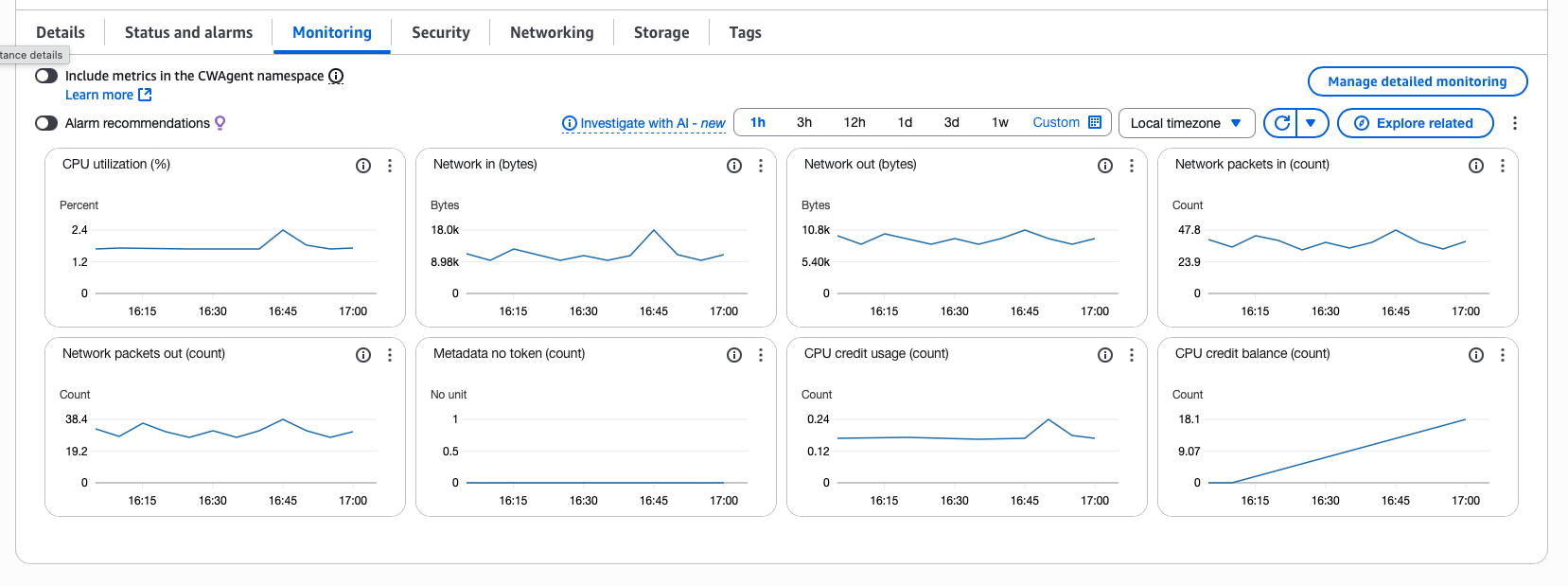 Monitoring Tab in the EC2 AWS Console